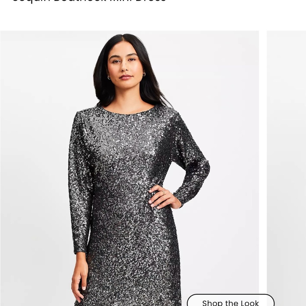 LOFT Silver Long Sleeve Sequin Dress